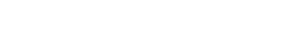Maestro Options Suite
